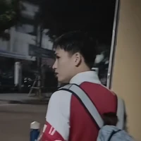 việt anh