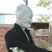 gaster