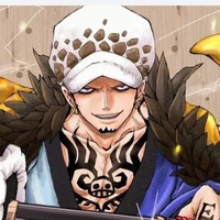 law