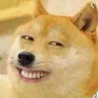 Ngố( hệ thống)