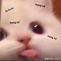 Hai anh top sợ vợ