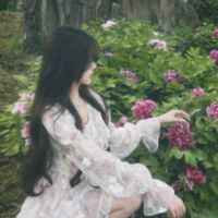 Nguyễn Bảo Anh