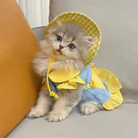 Thú cưng Anni của Chi