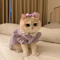 Thú cưng Nia của Ái