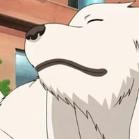 Akamaru