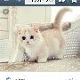 ????