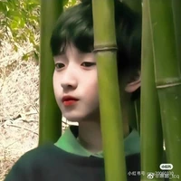 Nghiêm Hạo Tường(lúc nhỏ)