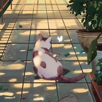 bí ẩn số 0