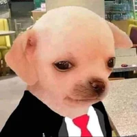 Phóng viên thời sự