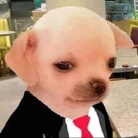 Phóng viên thời sự