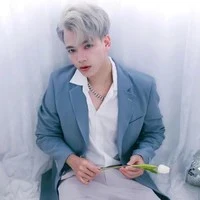 Hoài Việt (Vịt)