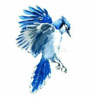 Blue Jay [Hệ thống 0000]