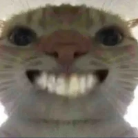 tui cười có duyên lắm á