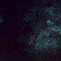 nhân vật bí mật