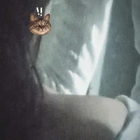 tác giả xinh gasii:33