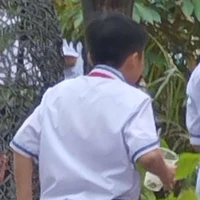 Nòng nọc biết bay