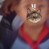 B.An