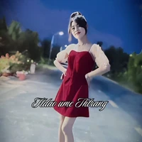 Phạm Thuỳ Trang