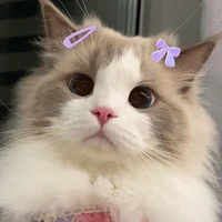 tác giả siu cute 😘😘