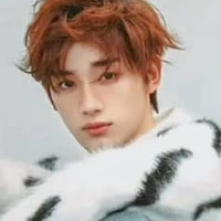 Đinh Trình Hâm