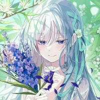 nohara aoiki