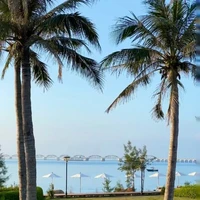 zợ tg