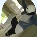 Locs Sans