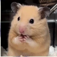 Hamster bị bỏ đói 2 năm=)))