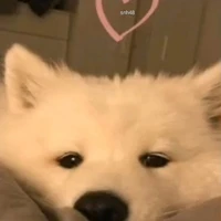😚