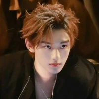 Đinh Trình Hâm