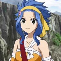 Levy