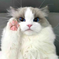 Pu - Boo