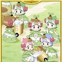 11 vị công chúa hạt giống