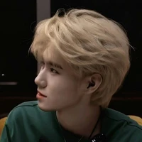 Trương Chân Nguyên