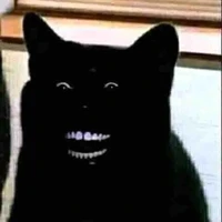 ?  ?   ?