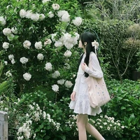 Dương Vũ Khánh Chi