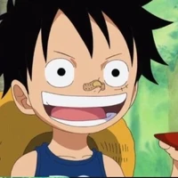 Luffy (7 tuổi)