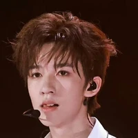 Hạ Tuấn Lâm