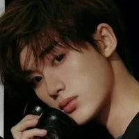 Đinh Trình Hâm