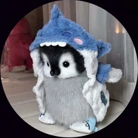 T/g cánh cụt 🐧