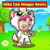 hiha shiba moggy