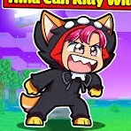 hiha shiba killy