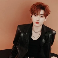 Đinh Trình Hâm