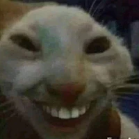 Lỡ cười, tôi cân cả địa ngục