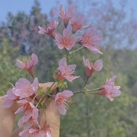 Author: Tomioka Tanyuuko