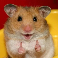 hệ thống [chíu]