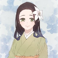 hashibira kotoha