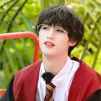 Đinh Trình Hâm