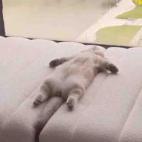 Tất cả trong SQĐ