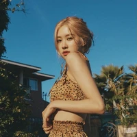 Park Chaeyoung ( nàng )